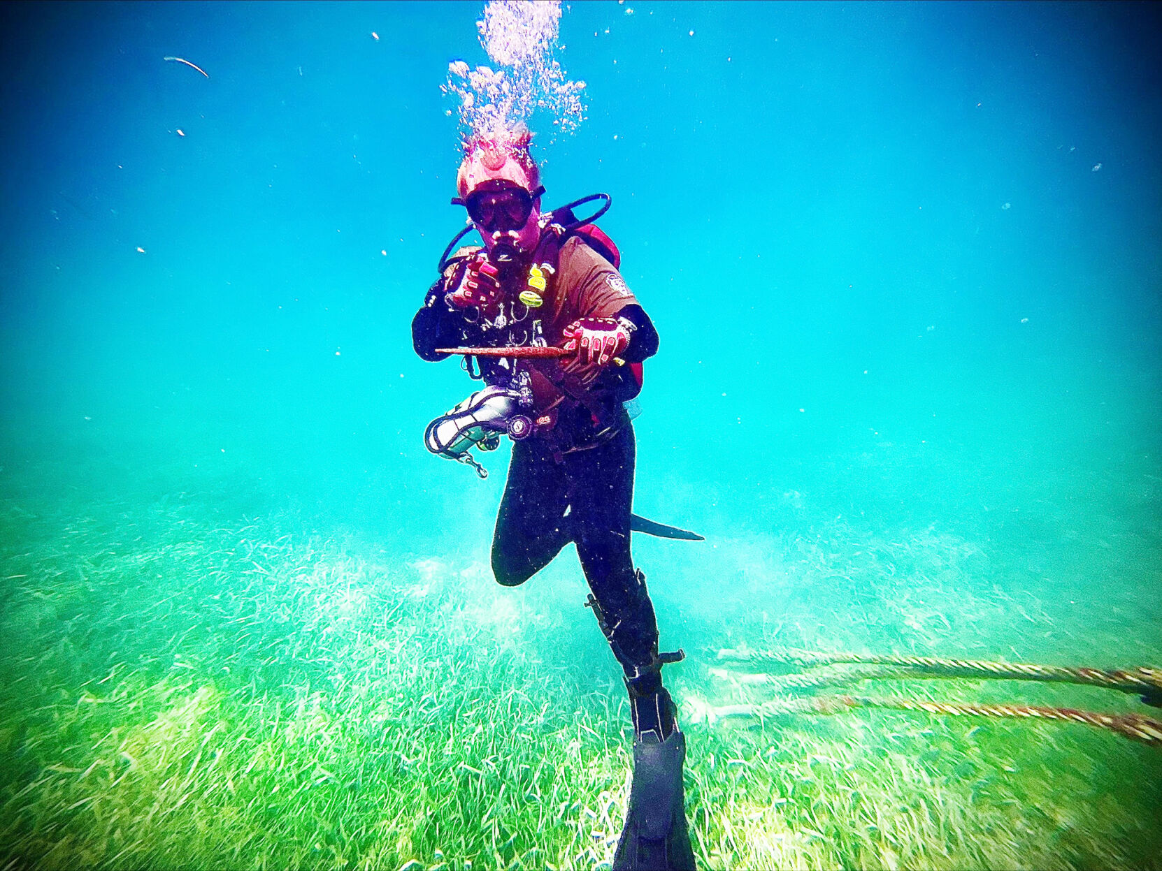 WAVES team member diving at Dry Tortugas.